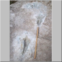 102_6261 (2013-08-08)m.JPG